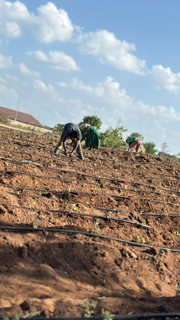 Sustainable Agriculture Initiative - Image 1